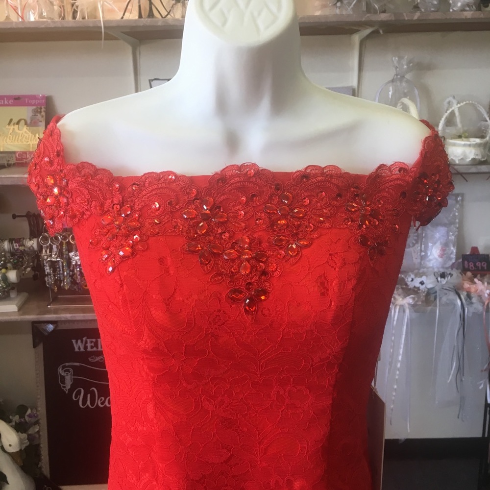 Prom Dress - Picture 5 of 5